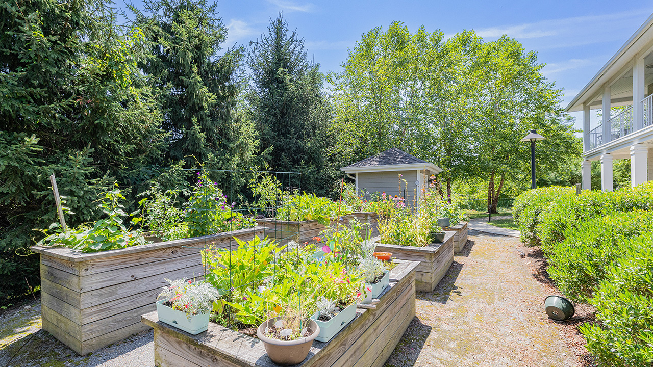 The gardens at Heatherwood
